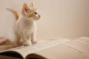 絵本を読んでも盛り上がらない! どんなふうに読んだらいいの?