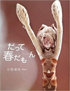 力強い美しさが気持ちを前へ『だって春だもん』