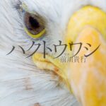 力強く、かっこいい! 写真絵本『ハクトウワシ』