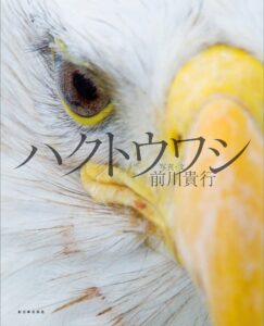 力強く、かっこいい！ 写真絵本『ハクトウワシ』