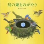 鳥も人も同じ― いろいろな子育ての形を知る『鳥の巣ものがたり』
