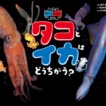 くらべることで発見できる！ 写真絵本『タコとイカはどうちがう？』
