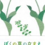 『ぼくの草のなまえ』じーっと見つめる楽しさを