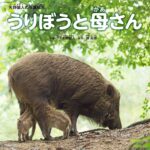 『うりぼうと母さん』かわいい「うりぼう」の魅力が詰まった写真絵本