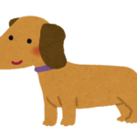 『うしろにいるのだあれ』当てっこしながら何度でも！