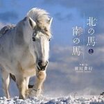 『北の馬と南の馬』野生の馬の、圧倒的な存在感