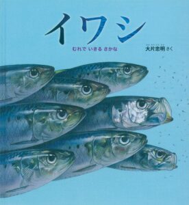 『イワシ』数で勝負！ 群れで生きるイワシの生存戦略
