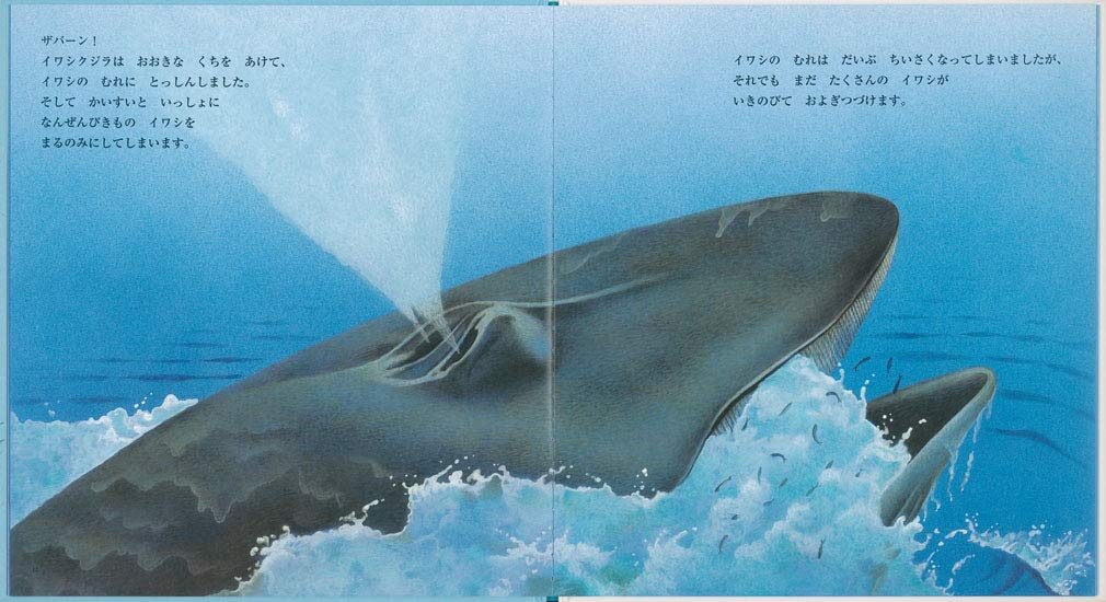 イワシ_中ページ2
