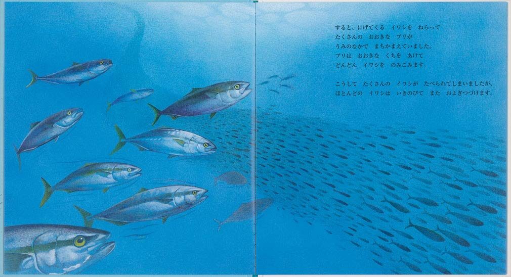 イワシ_中ページ1