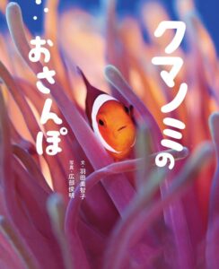 『クマノミのおさんぽ』沖縄の海で撮影された美しい写真絵本